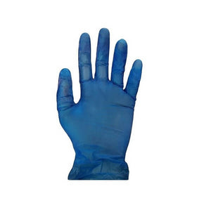 Vinyl Blue Powder Free Gloves (Packet)