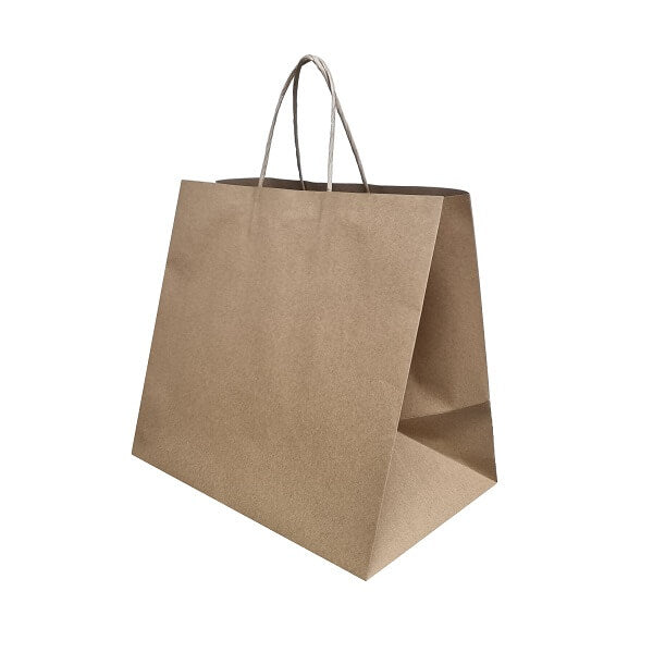 Takeaway Brown Paper Bag Twist Handle